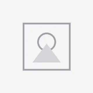 دیسک و صفحه ال 90 والئو سبز
